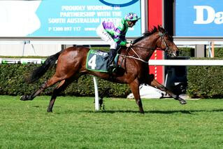 I Am A Star (NZ) collects Group 3 win at Morphettville. Photo Credit: Darryl Sherer.